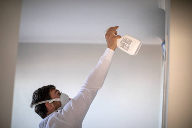 Best Preventive Mold Services in Tutwiler, MS