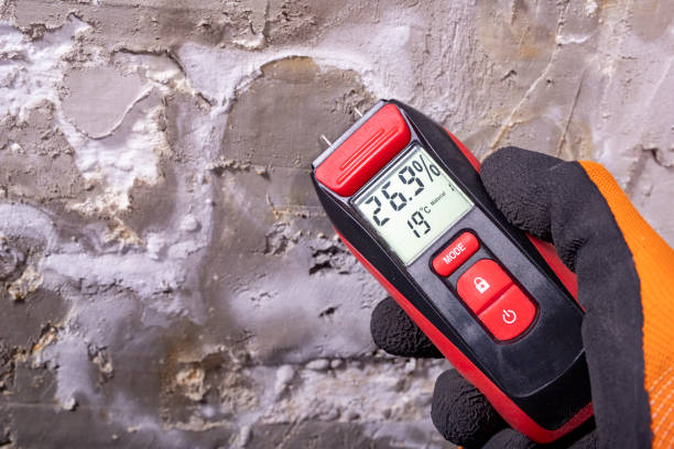 Best Crawl Space Mold Remediation in Tutwiler, MS