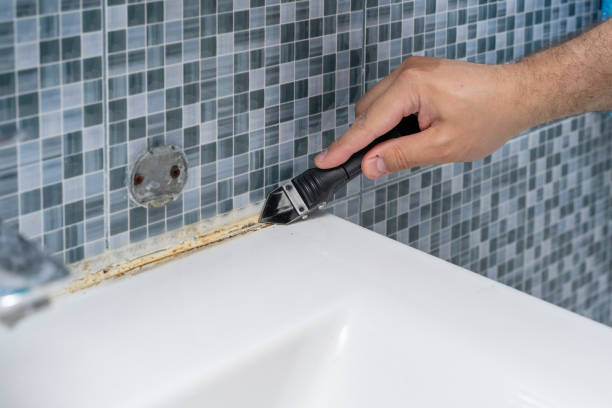 Best Mold Remediation for Specific Building Types in Tutwiler, MS