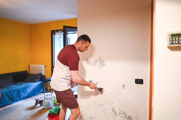 Best Residential Mold Remediation in Tutwiler, MS