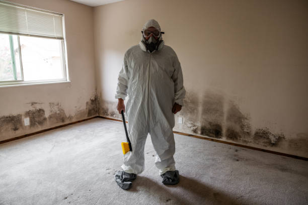 Best Residential Mold Remediation in Tutwiler, MS